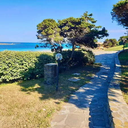 In Just 50 Mt From The Sea *